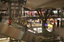 _MG_8721 (1)