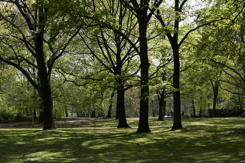 Berliner Tiergarten